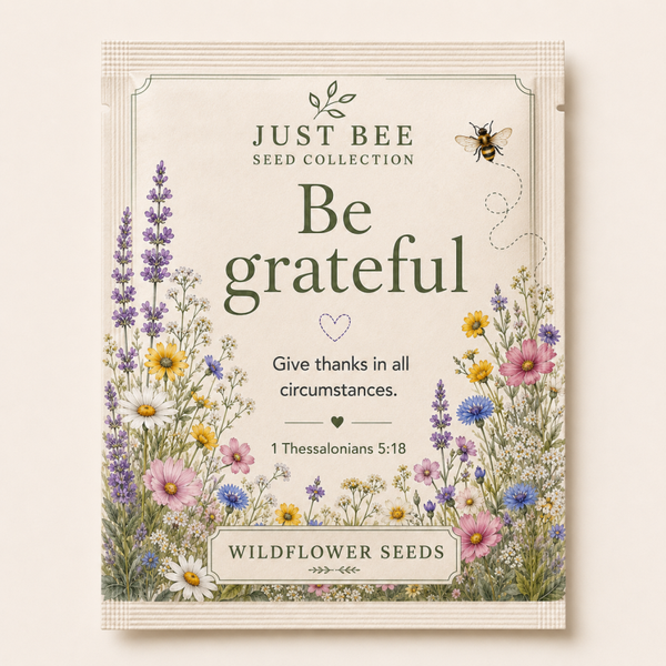BIBLIC SEEDS COLLECTION