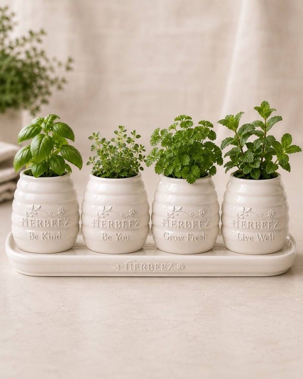 THE 4 VASES