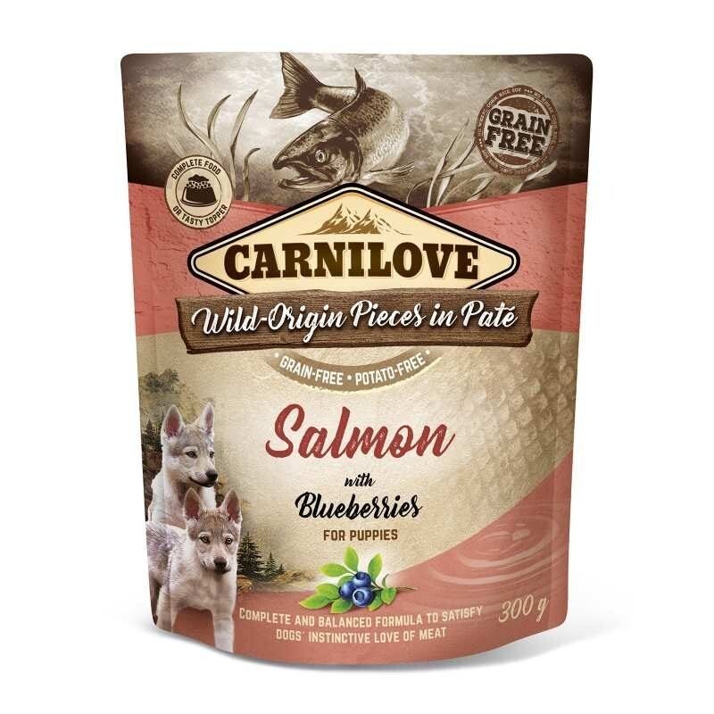 CL Dog Pouch – Zalm & bosbessen – PUPPY 300 g