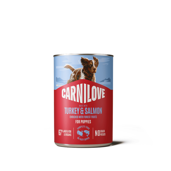 CARNILOVE Can Paté – Made with Turkey & Salmon for Puppies