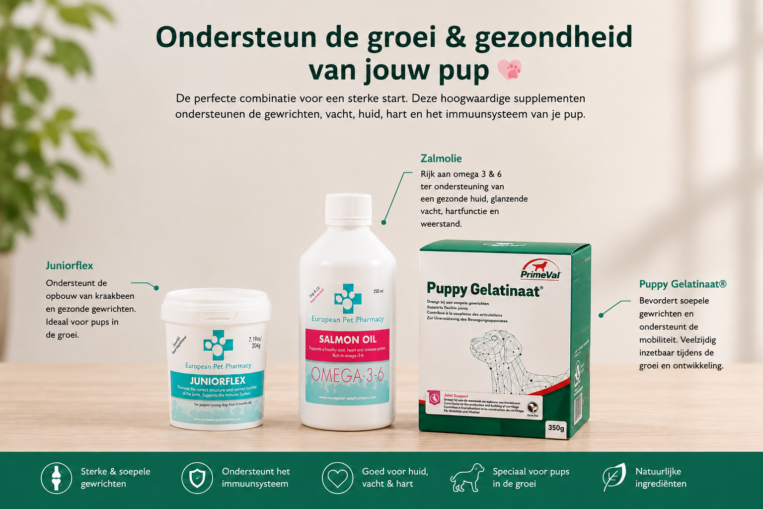 Puppy pakket