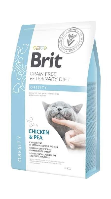 BRIT GF VD – Cat – Obesity