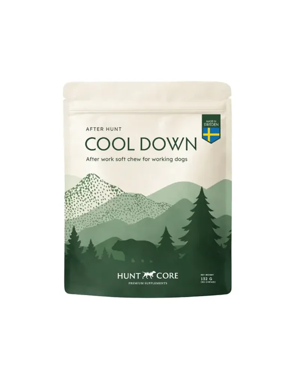 Hunt Core - COOL DOWN