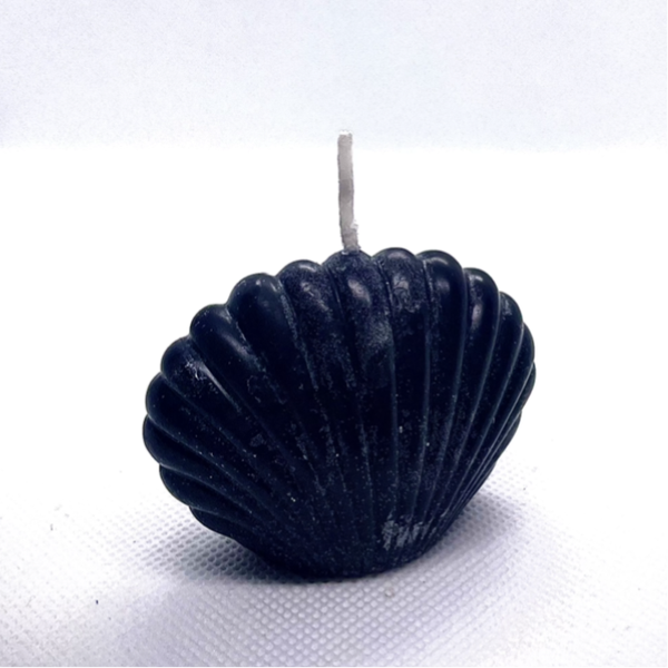 Coquillage de Black Hole