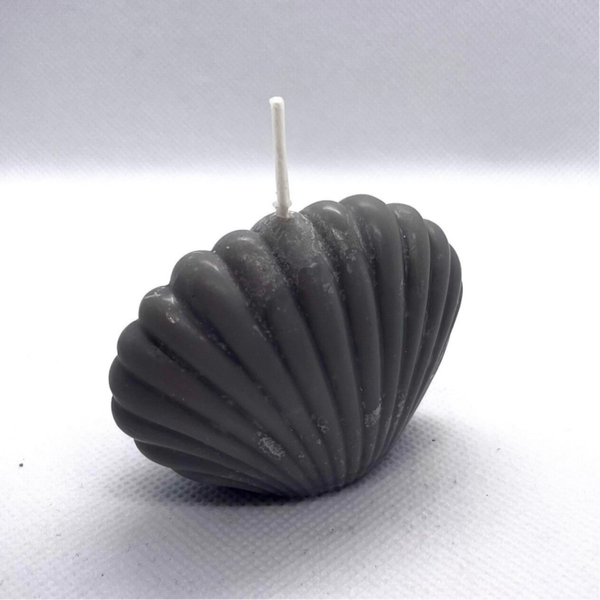 Coquillage de Mercure