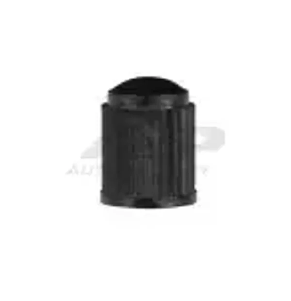 Bouchon de valve noir 100pcs