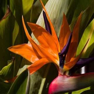 CRW_2557.jpg