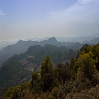 CRW_2775-1.jpg