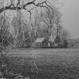 CRW_2302-2.jpg