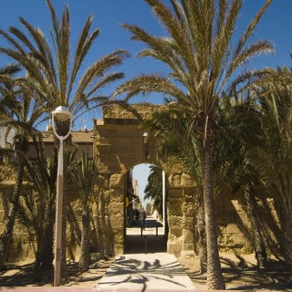 CRW_9440.jpg