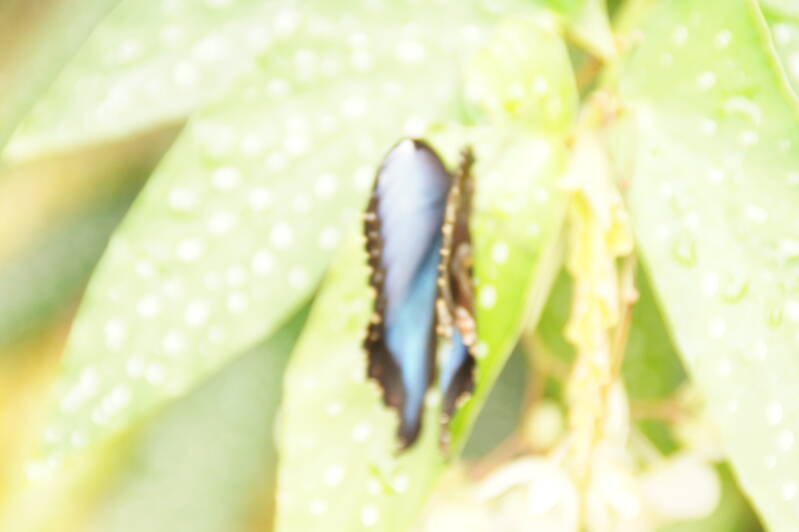 DSC05123-1.jpg
