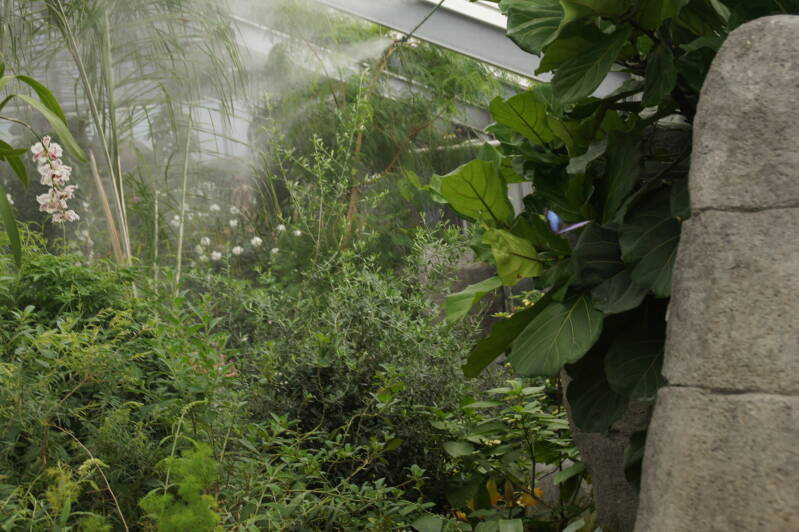 DSC05211-1.jpg
