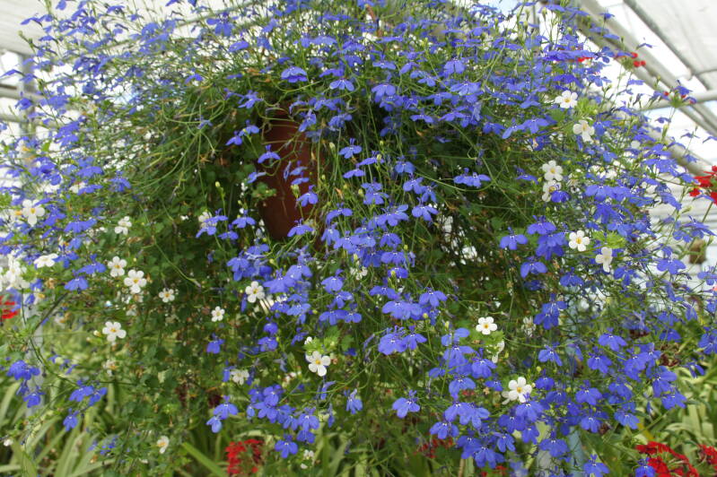 DSC05228-1.jpg