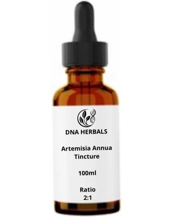 Artemisia annua tincture