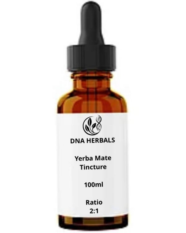 Yerba mate tincture