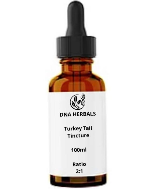 Turkey tail tincture
