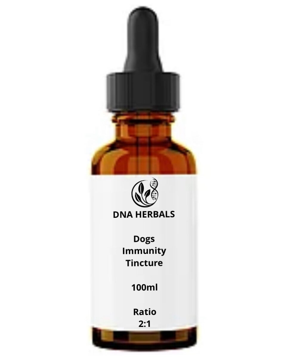 Dogs immunity tincture
