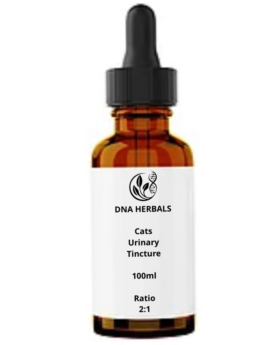 Cats urinary tincture