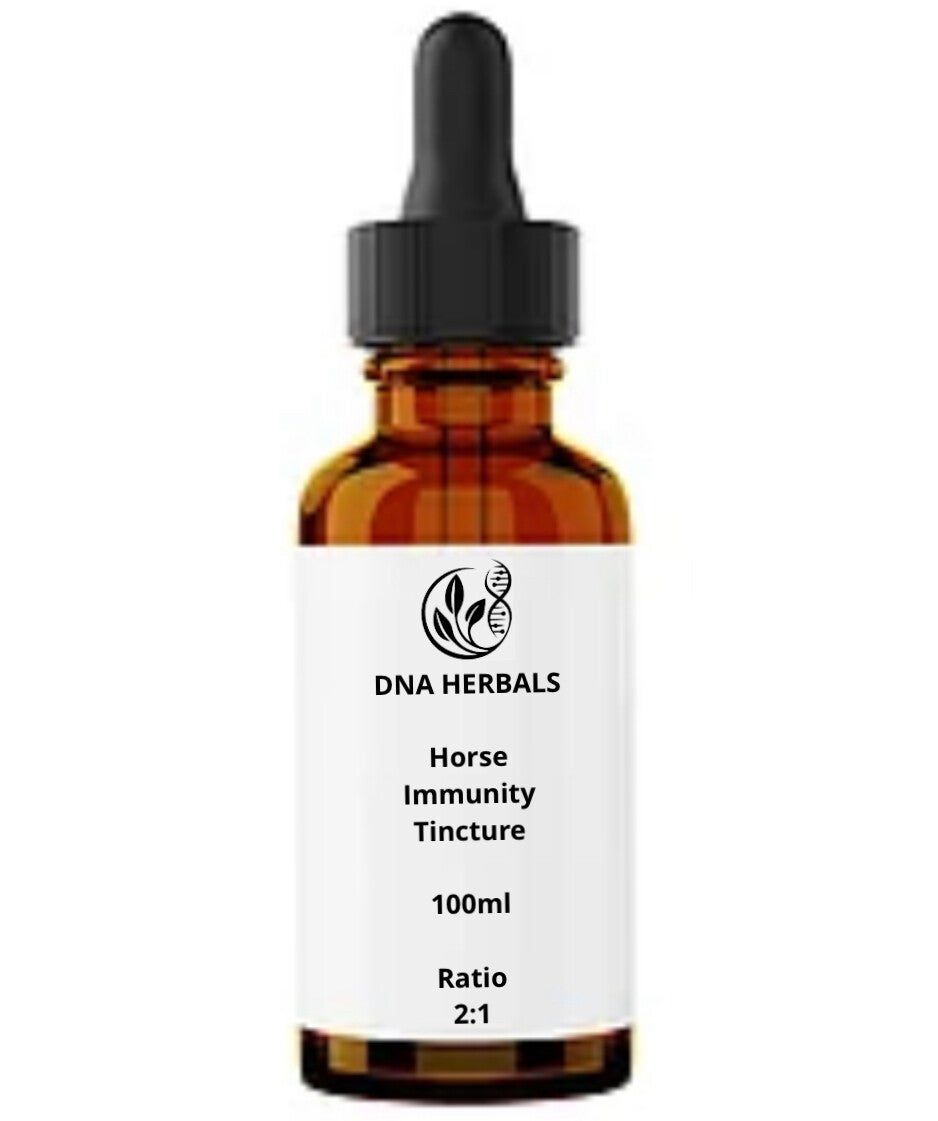 Horse immunity tincture