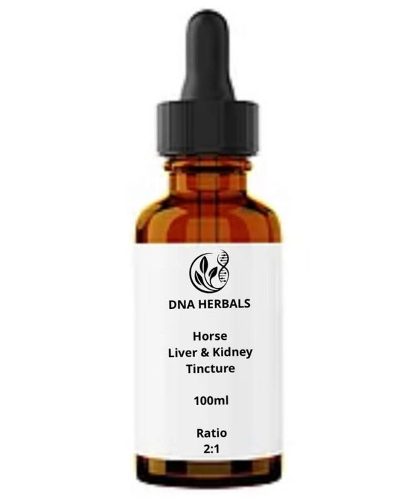 Horse liver & kidney tincture
