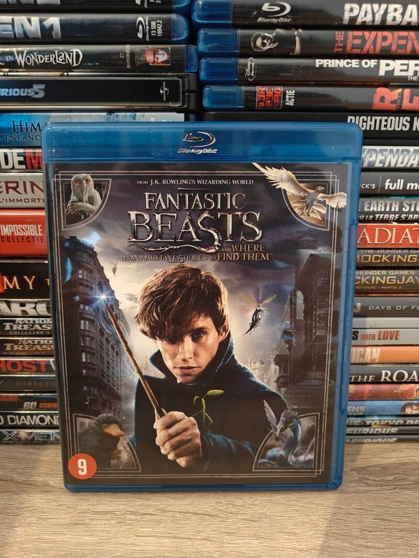 Fantastic beasts en where to find them blu ray
