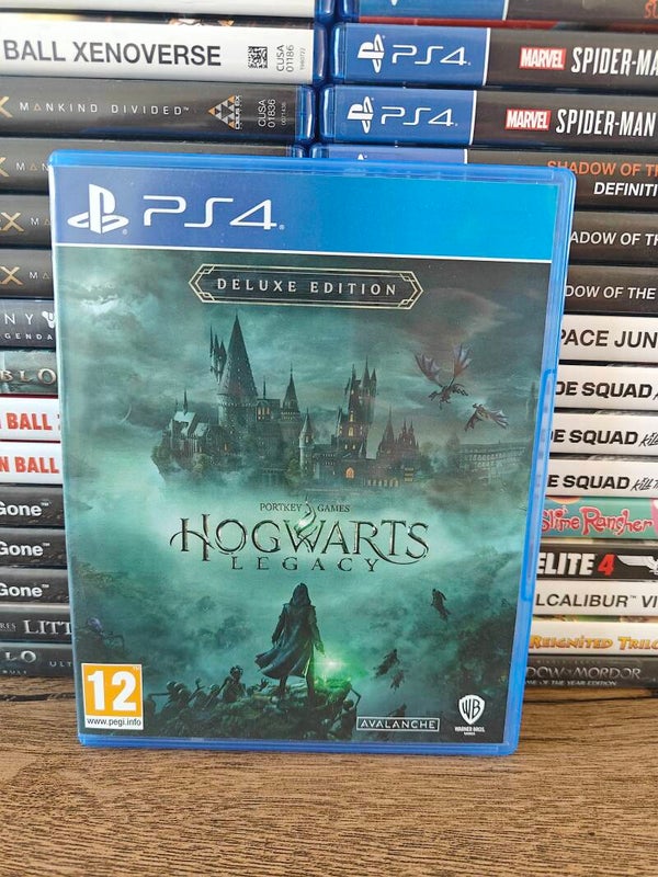 Hogwarts legacy playstation 4