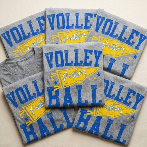 Volleyball Panthers