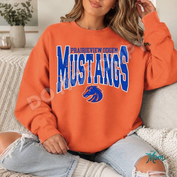 Distressed Mustangs