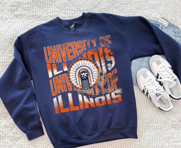 University of Illinois