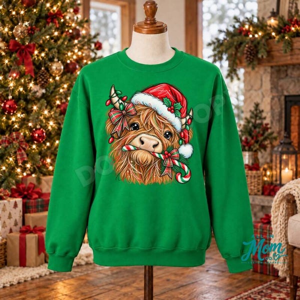 Highland Cow