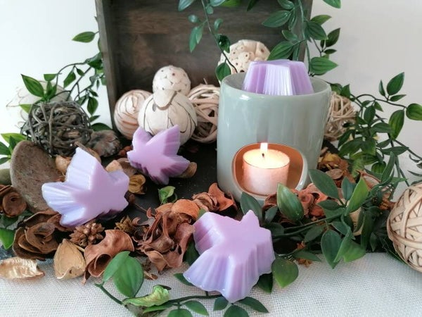 Fondants Lavande vraie