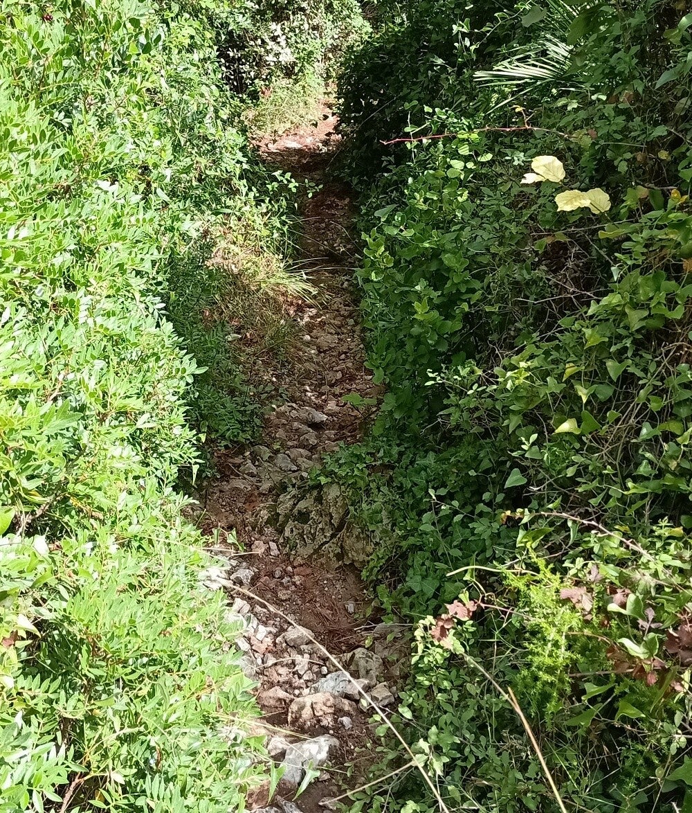 Camí d'accés a la Fon de Dueres