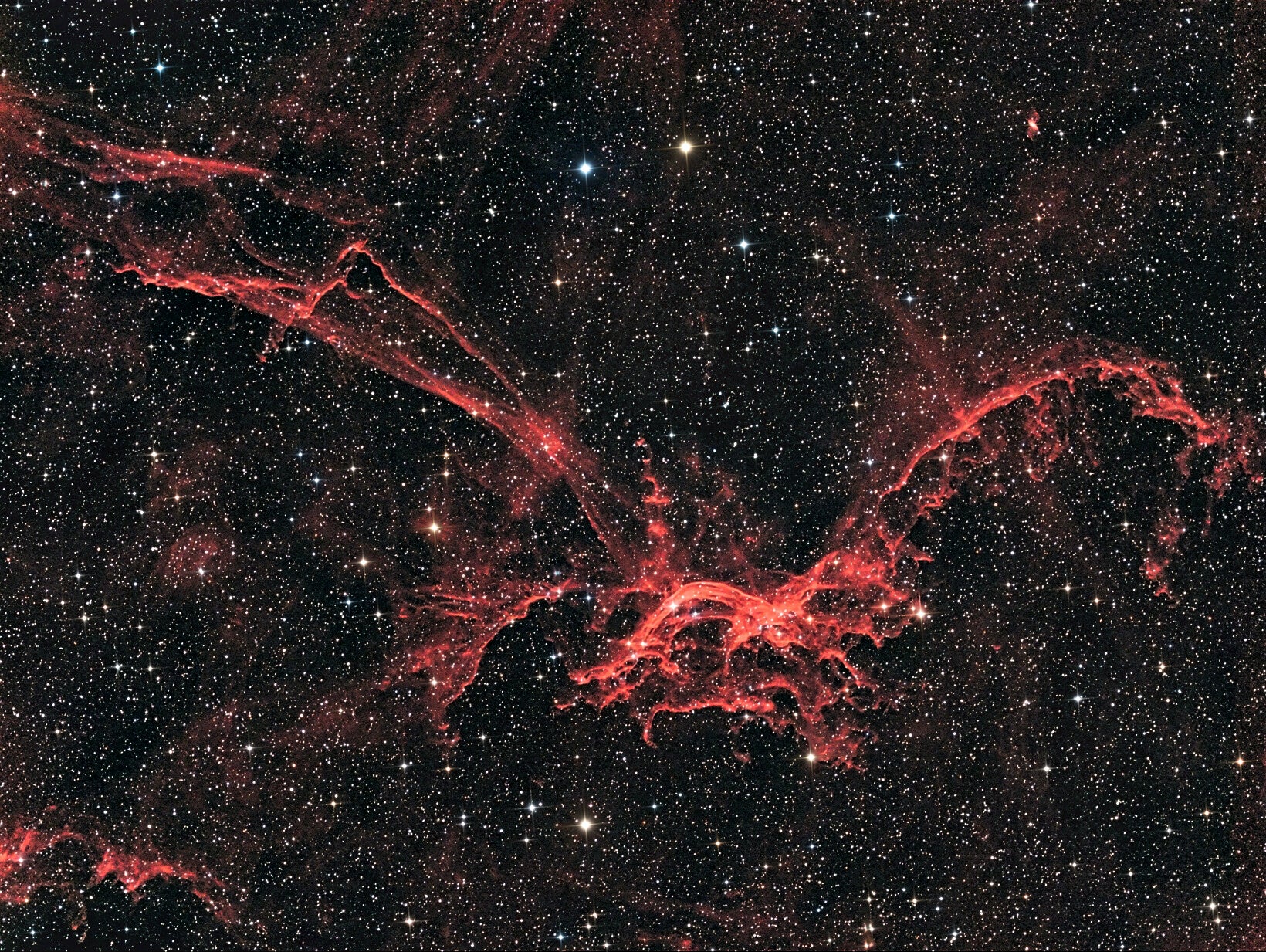 flying_dragon_red_8-standard-yldcct.jpg