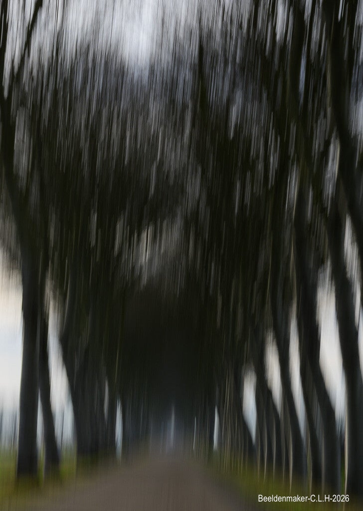 geersdijk-bomen-icm-standard.jpg