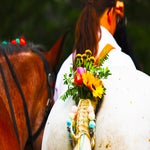 paard-met-versiering-standard.jpg