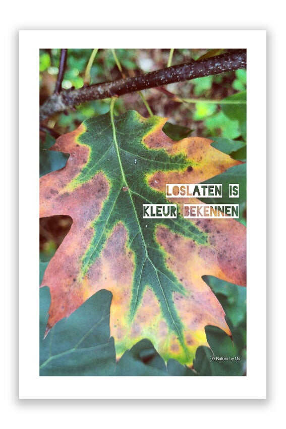 KAART - 'Loslaten is kleur bekennen'