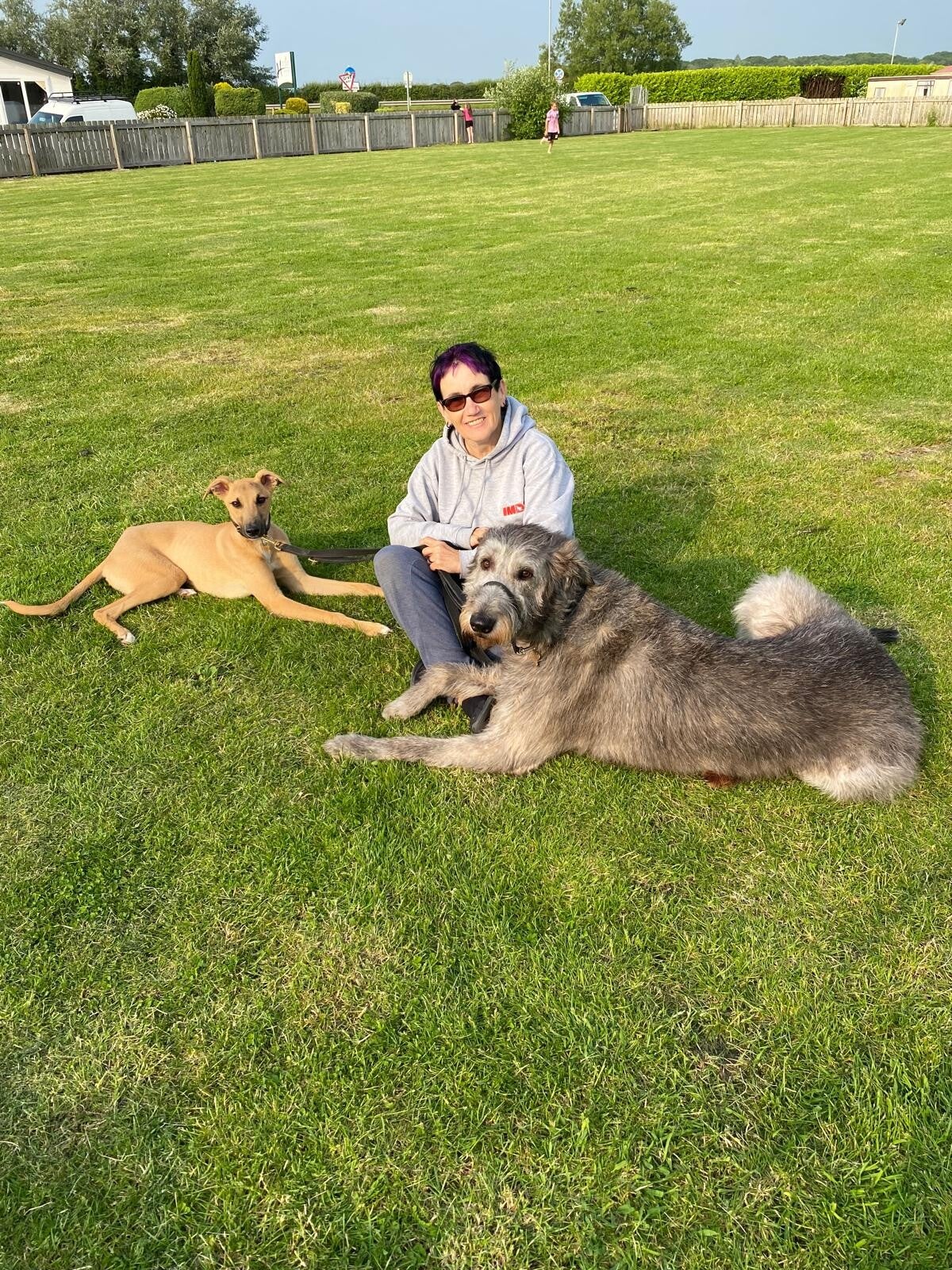 group-classes-mkbest-dog-training