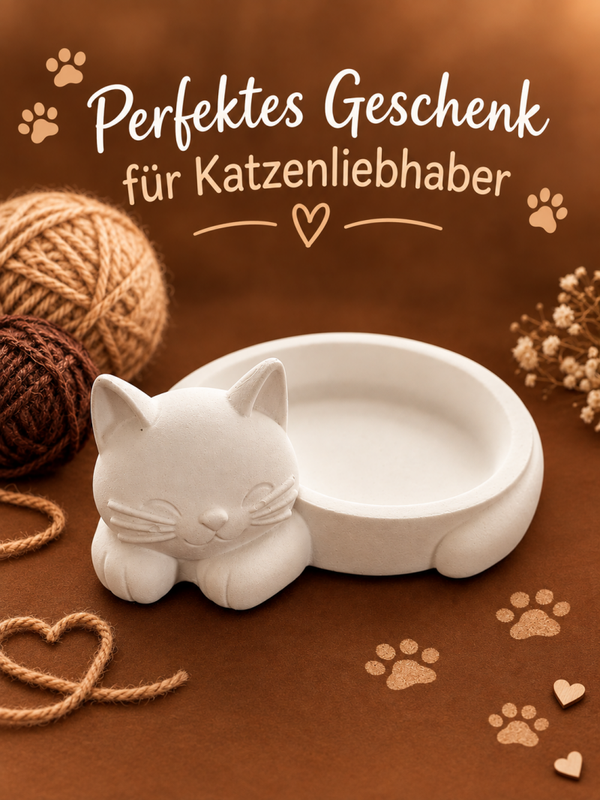 Schale Katze