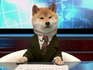 Shib5050raffle.com