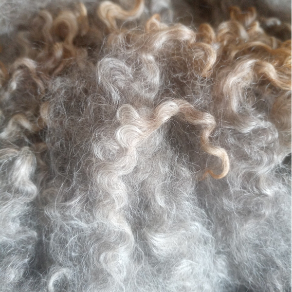 Wensleydale Locken