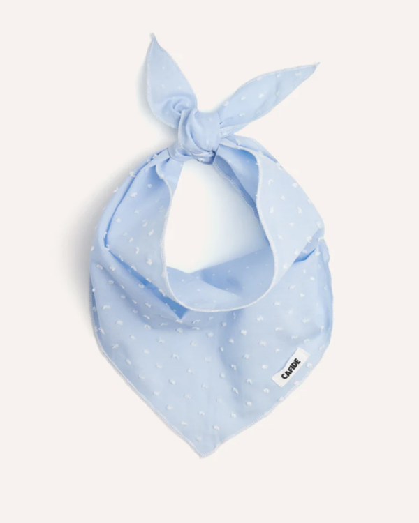 Gepersonaliseerde Hondenbandana Blauw | Met naam geborduurd