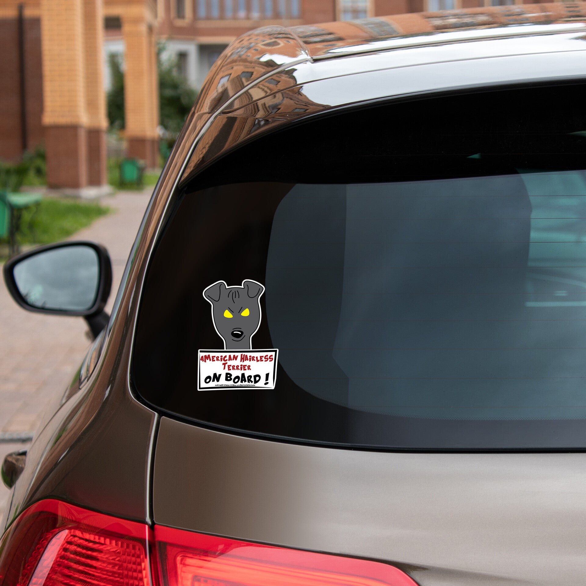 American Hairless Terrier on board ! autosticker button ear en staande oren !