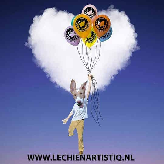 speciale listing voor V.T