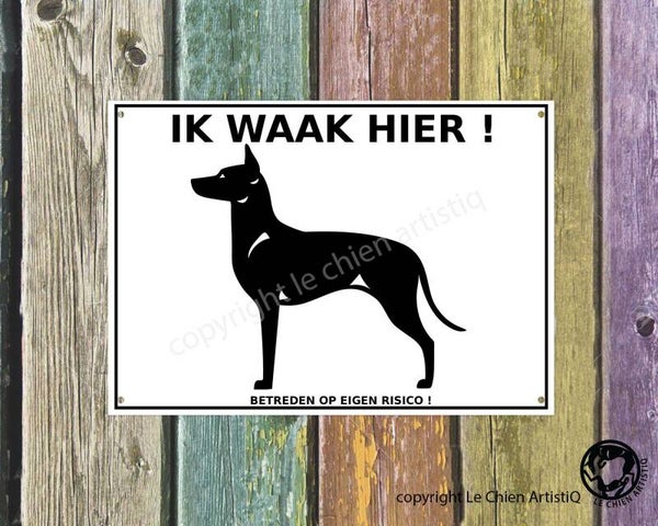 American Hairless Terrier ! silhouet ! waakbord ( ook in meervoud )