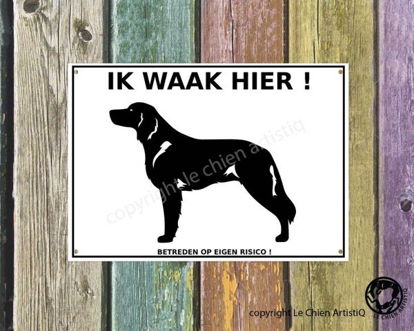Weimaraner langharig ! silhouet ! waakbord ( ook in meervoud )