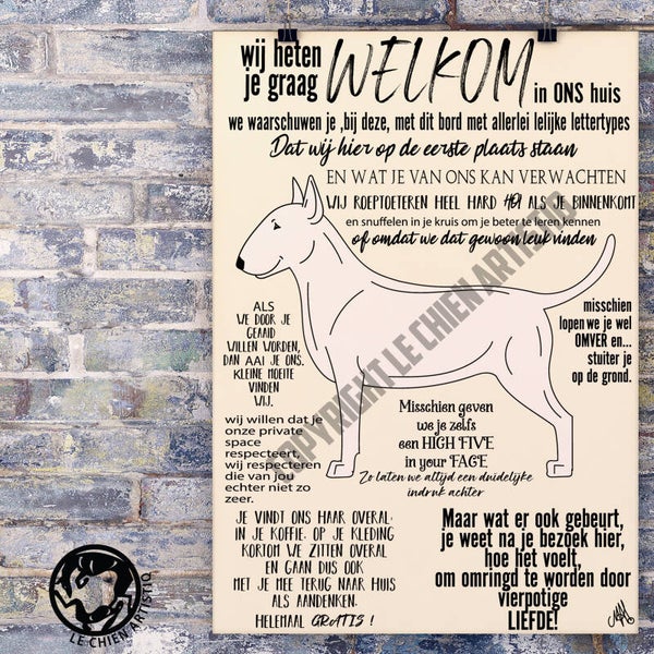 Bull Terrier ! WELKOM ! diverse kleurslagen!