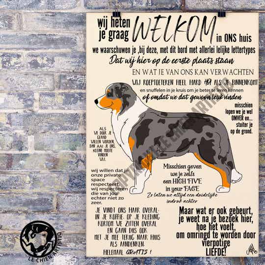 Australian Shepherd / Aussie ! WELKOM ! vijf kleurslagen !