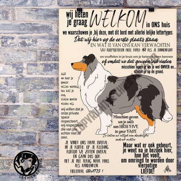 Schotse Herdershond langharig / collie  ! WELKOM ! 4 kleurslagen!