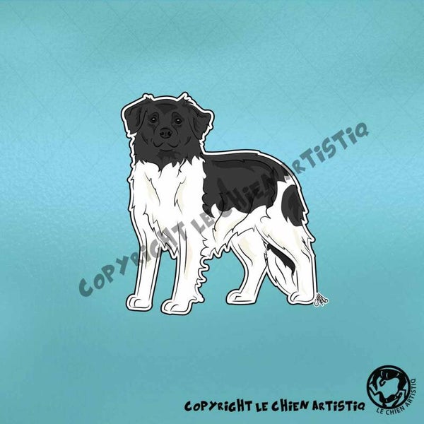 Friese Stabij / Stabyhoun ! COMIC sticker !