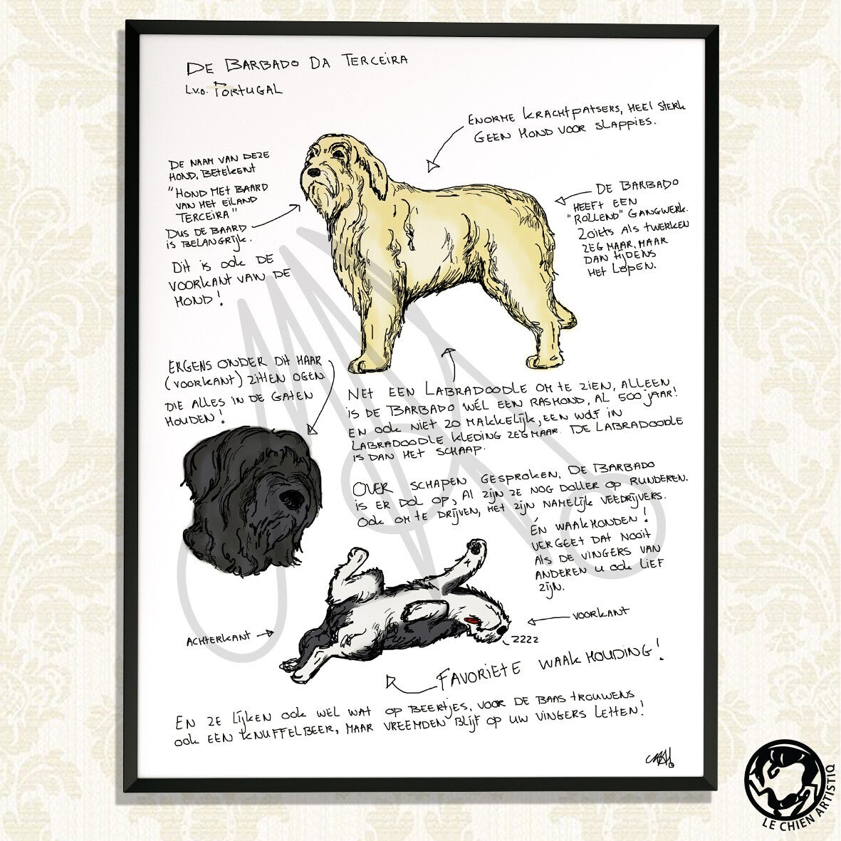 Barbado da Terceira  print "Different View"